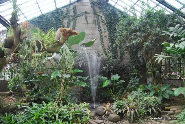 Botanical gardens in Bogor.