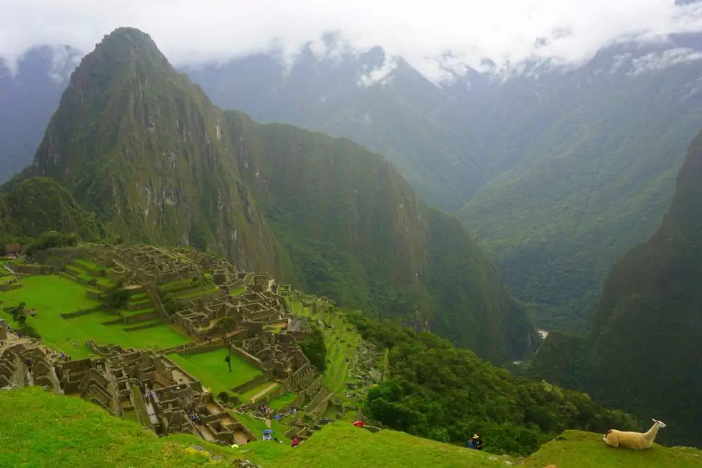Jungle Trek to Machu Picchu